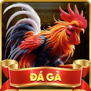 Hỗ trợ qua Email 55vin win